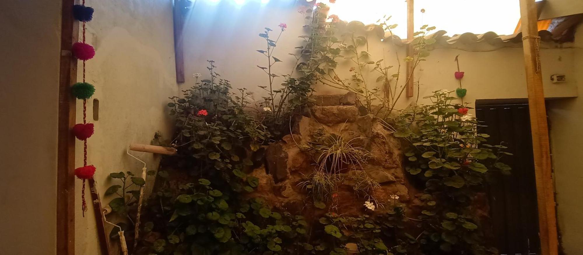 Rosita * Cuzco